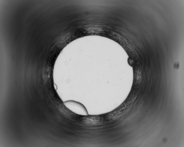 X0000103330567200810171426