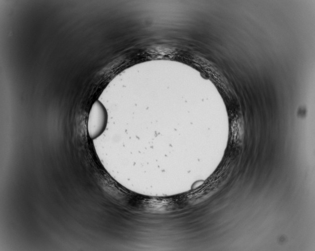 X0000103330570200810171427