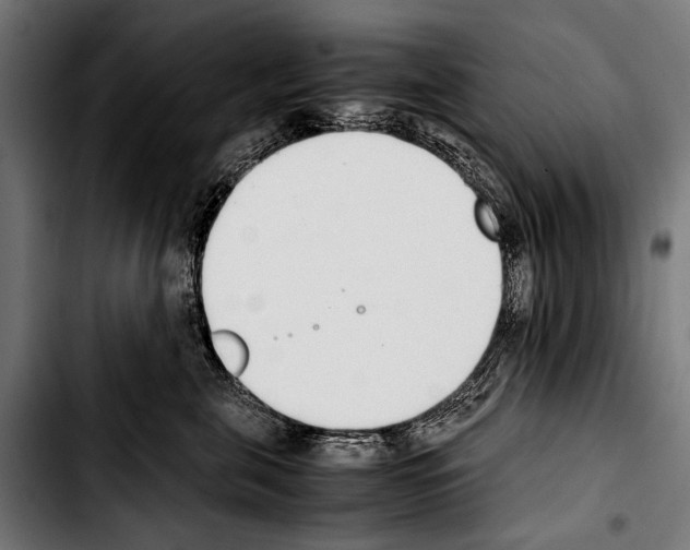 X0000103330571200810171427