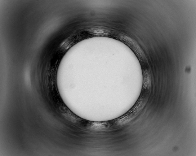 X0000103330573200810171427