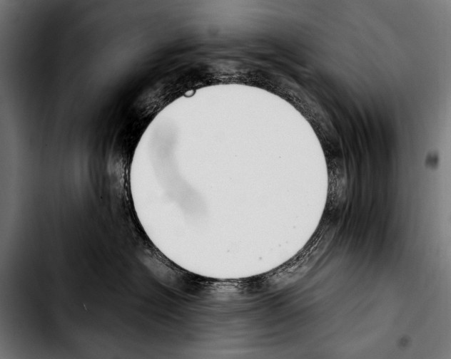 X0000103330574200810171427