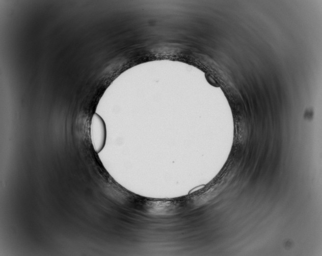 X0000103330575200810171427