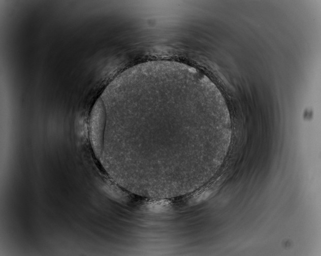 X0000103330576200810171427