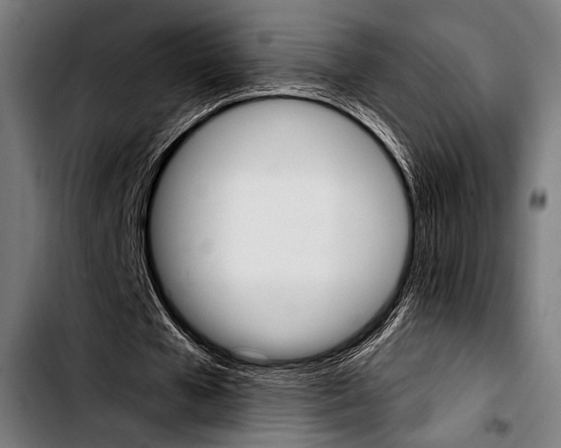 X0000103330577200810171426