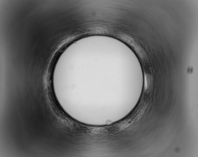 X0000103330579200810171426