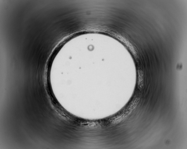 X0000103330580200810171426