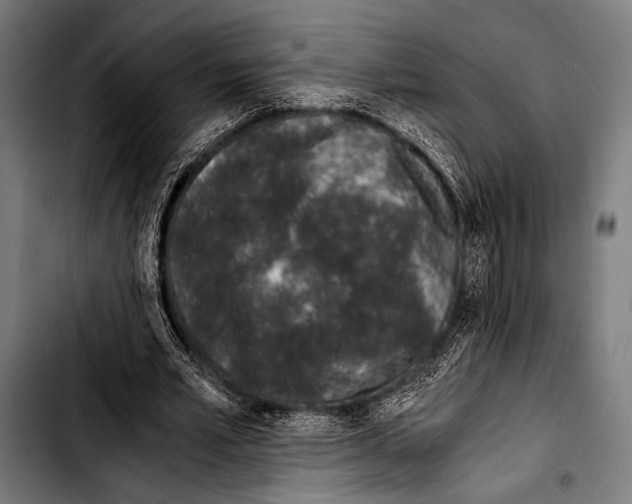 X0000103330581200810171426