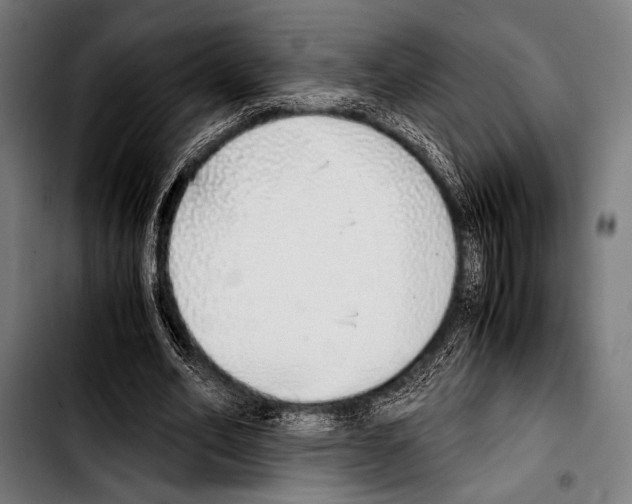 X0000103330582200810171426