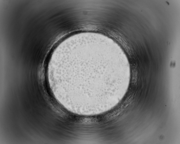 X0000103330584200810171426