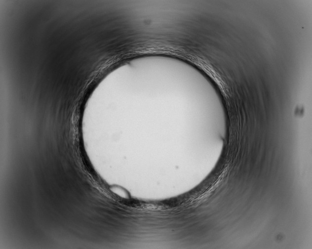 X0000103330585200810171426