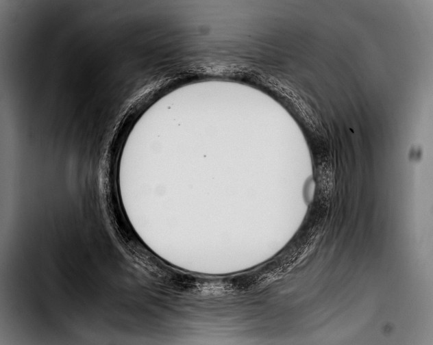 X0000103330587200810171426