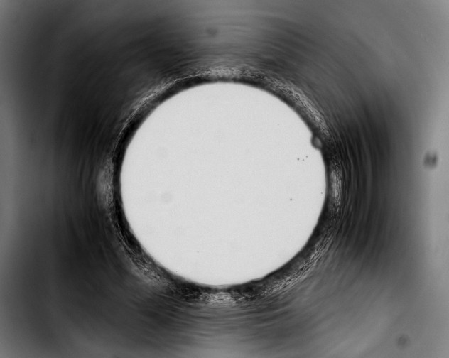 X0000103330588200810171426