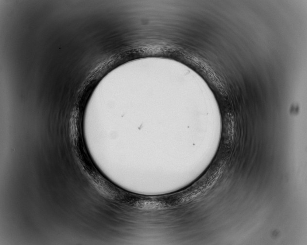 X0000103330590200810171426