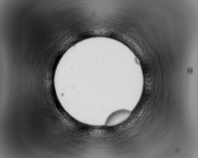 X0000103330593200810171426