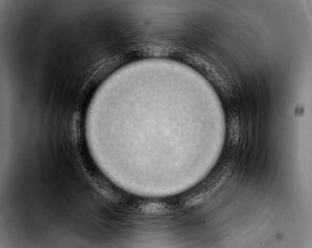 X0000103330594200810171426