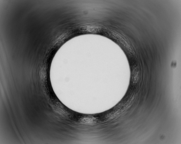 X0000103330595200810171426