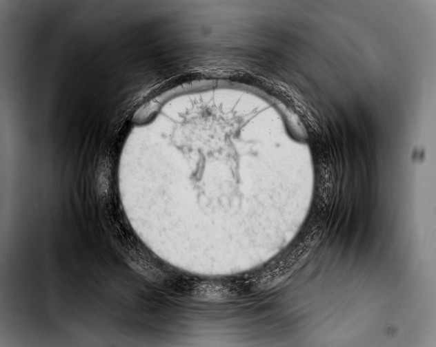 X0000103330596200810171426