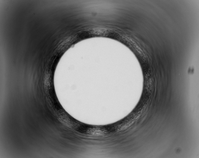 X0000103330597200810171426