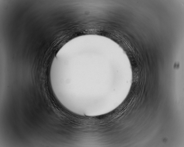 X0000103330599200810171426