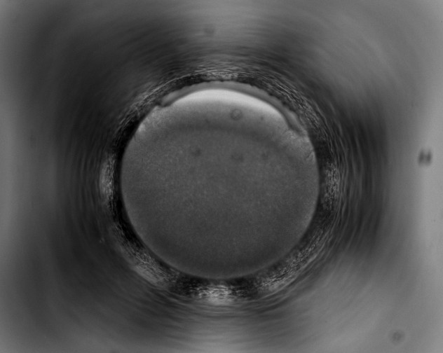 X0000103330600200810171426