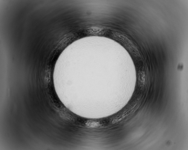 X0000103330602200810171426