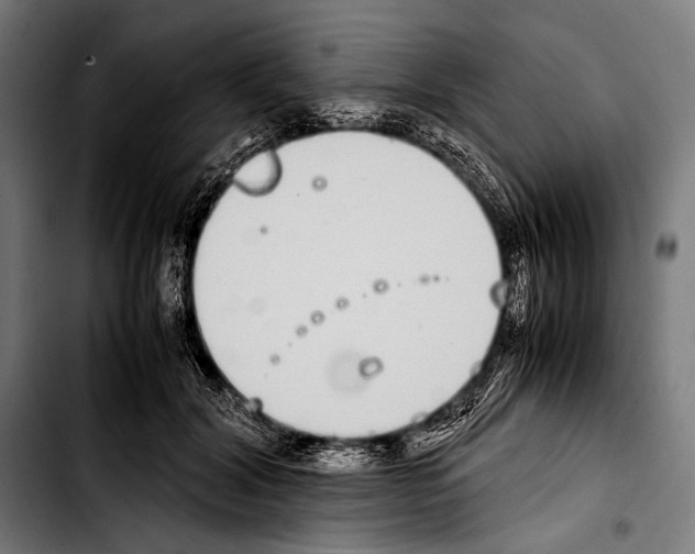 X0000103330604200810171426