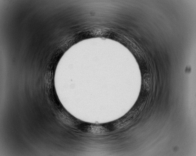 X0000103330605200810171426