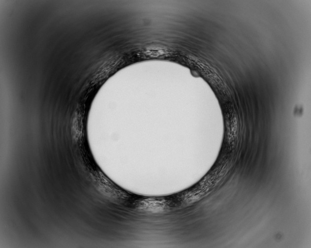 X0000103330606200810171426