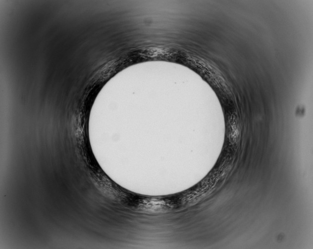 X0000103330607200810171426