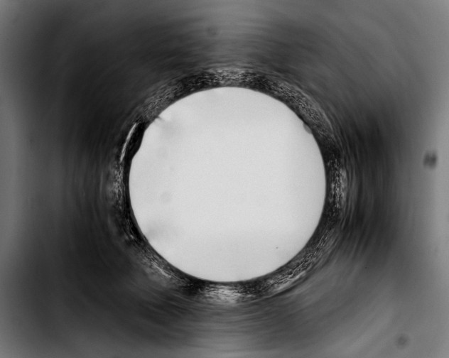 X0000103330610200810171425