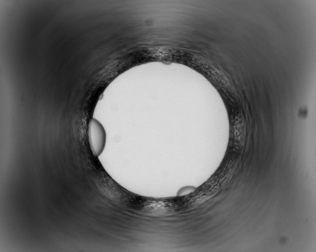 X0000103330611200810171425