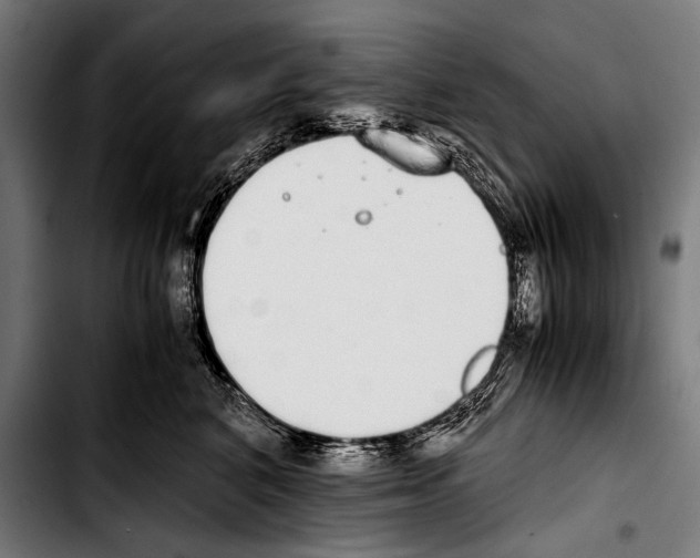 X0000103330616200810171425