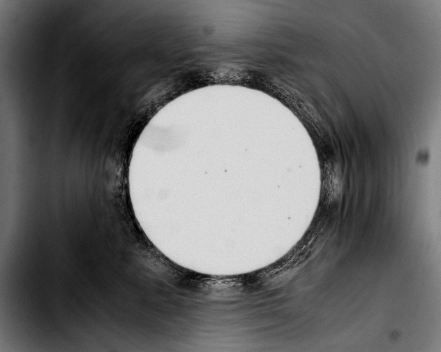 X0000103330619200810171425