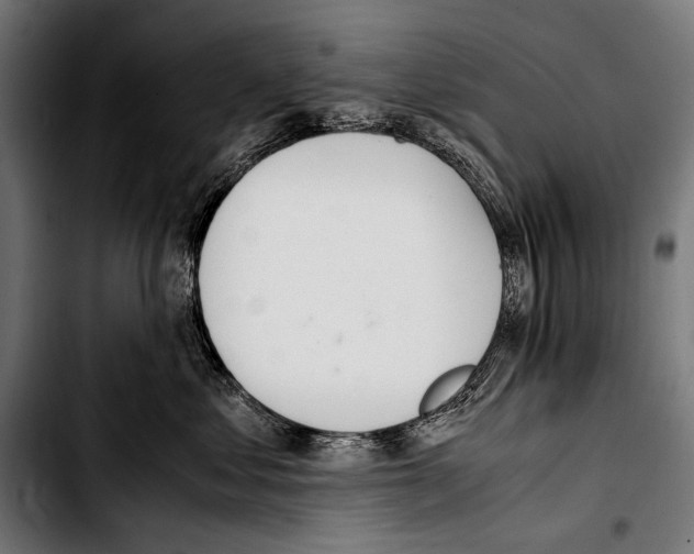 X0000103330621200810171425