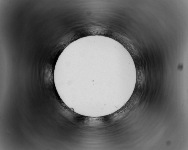 X0000103330622200810171425