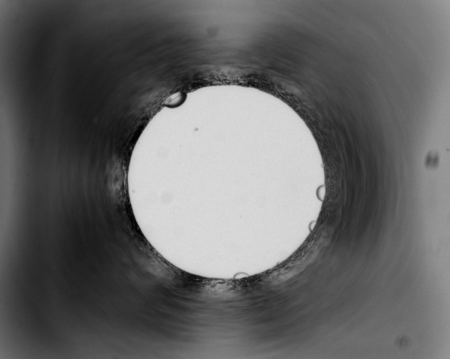 X0000103330624200810171425