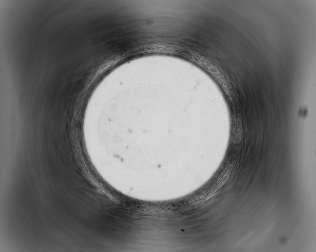 X0000103330625200810171425