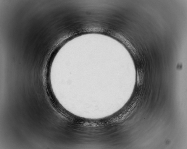 X0000103330627200810171425