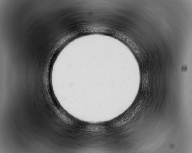 X0000103330629200810171425