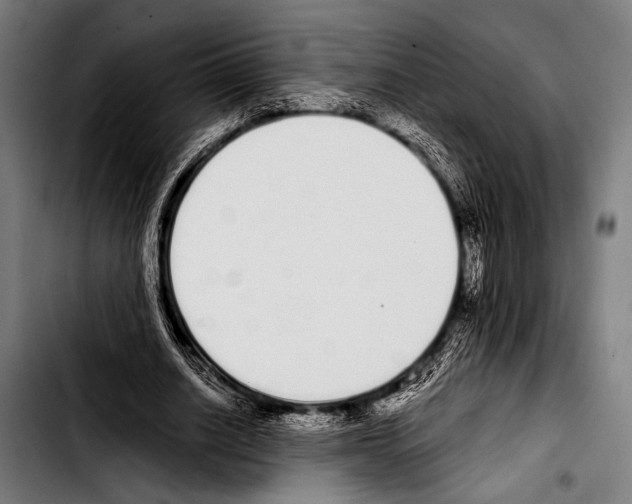 X0000103330630200810171425