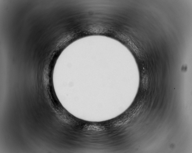 X0000103330635200810171425