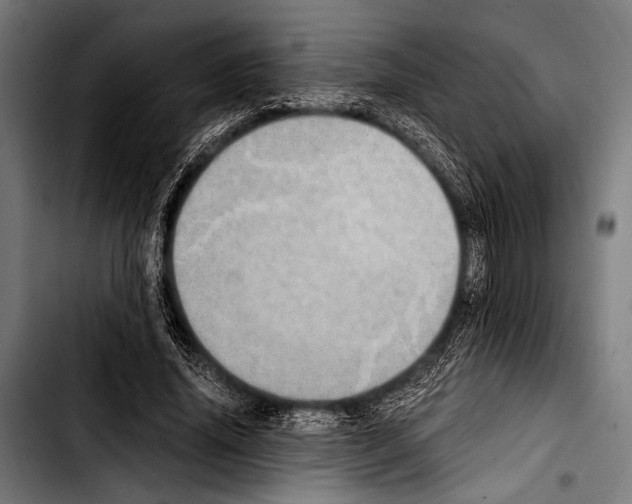 X0000103330636200810171425