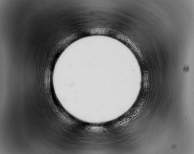 X0000103330637200810171425