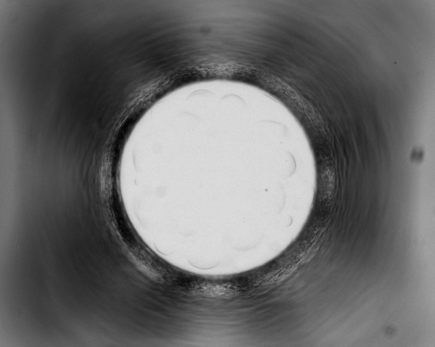 X0000103330638200810171425