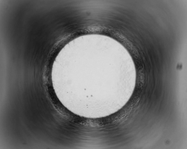 X0000103330640200810171425