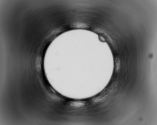 X0000103330643200810171425