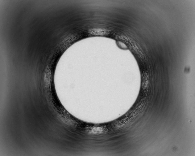 X0000103330647200810171425