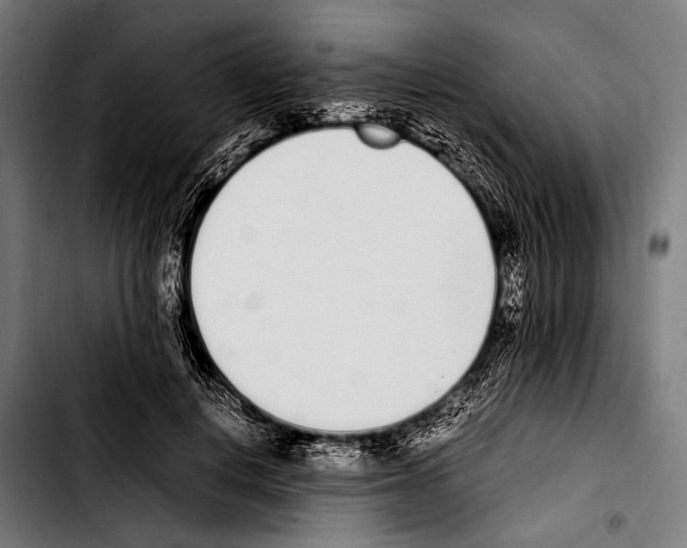 X0000103330648200810171425