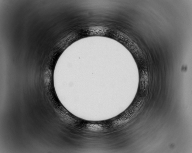 X0000103330649200810171425