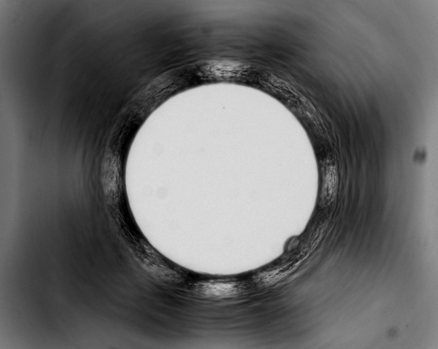 X0000103330651200810171425